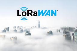 LoRaWAN 协议支持哪些类型的设备?